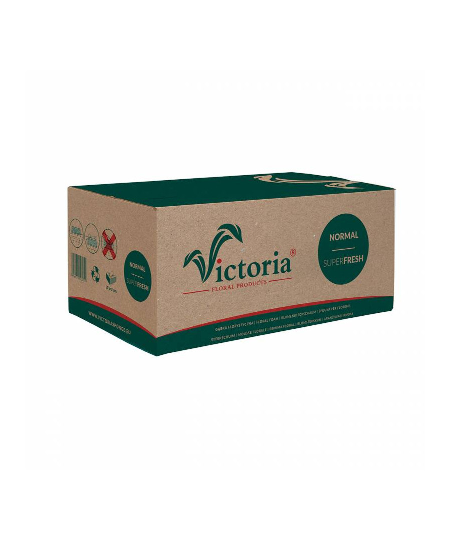Victoria Normal Gąbka Florystyczna